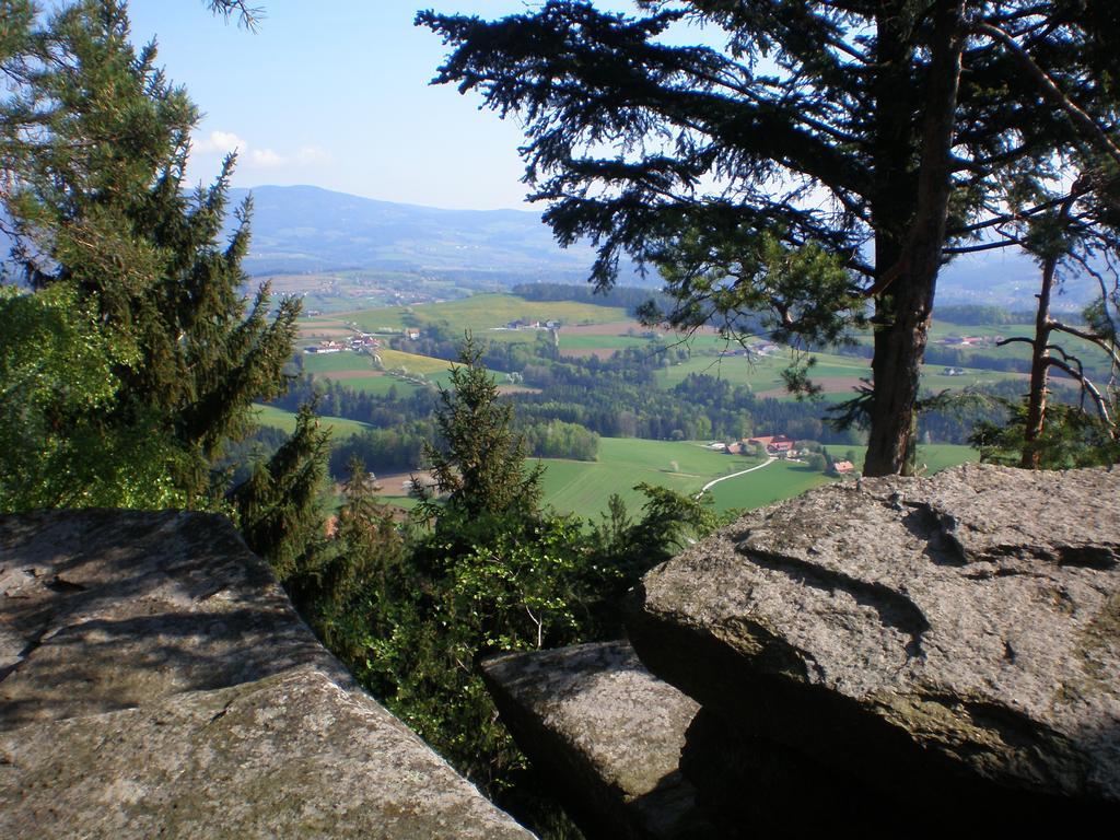 Вилла Wiesenbauer - Schlogl Anton Grafendorf bei Hartberg Экстерьер фото